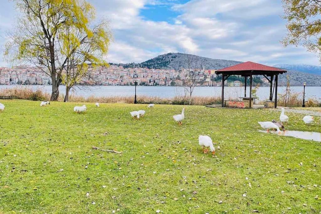 Appartement Lida's View Kastoria